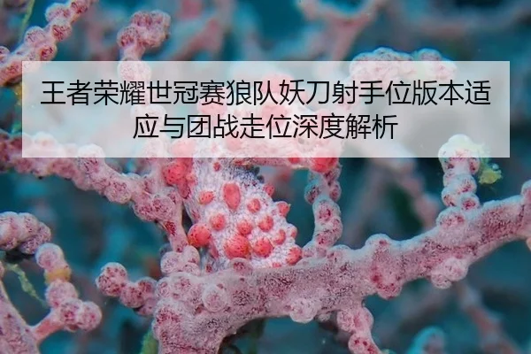 王者荣耀世冠赛狼队妖刀射手位版本适应与团战走位深度解析